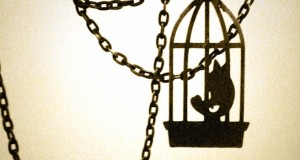birdsong_by_emeraude58-1-686x350