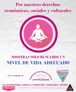 vida adecuada
