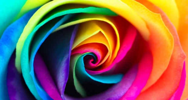 Picture-154-686x350