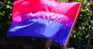 BiPrideFlag-686x350