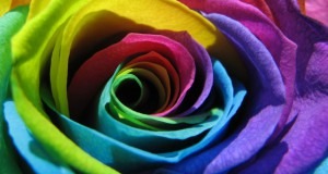SayItWithFlowers2