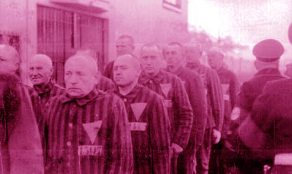 Remembering and Honouring LGBT Victims on International Holocaust ...