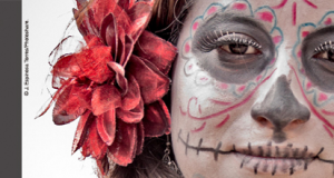 AWID Banner